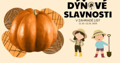 DÝŇOVÉ SLAVNOSTI jsou na rohem!🎃